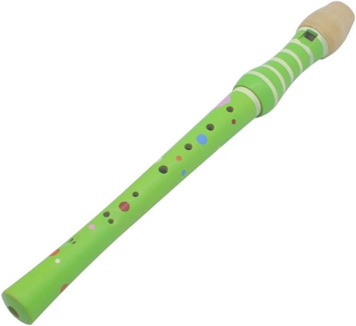Dilwe Wood Recorder Educational Wood Flute Sound Recorder Toy for