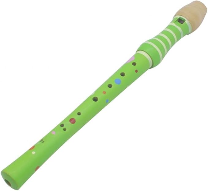 Dilwe Wood Recorder Educational Wood Flute Sound Recorder Toy for