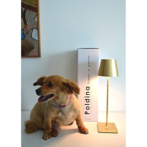 Ai Lati Poldina Lampada Da Tavolo Led 2w 3000k Ricaricabile