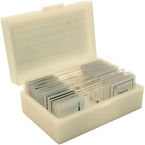 Vision Scientific VSB126 Prepared Slide Set – Textile Fibre (Set of 12)