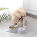 Cat Dog Feeder Automatic Water Bowl and Food Bowl Set, Dogs Cats Stainless Steel Feeder Bowl and Automatic Gravity Water Dispenser Double Pet Bowls Bottle for Small or Medium Size Dog Cats (Gray)thumb 1