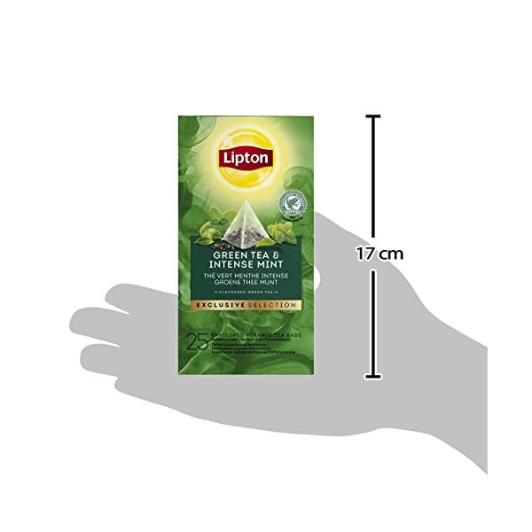 Lipton Grüner Tee, Intensive Minze Pyramidbeutel, 1er Pack (1 x 25 Teebeutel) – Bild 6