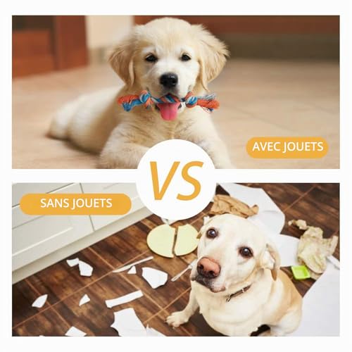 Toozey Dog Toy - 7 Durable Toys for Puppies and Small Dogs - Non-Toxic Natural Cotton Plush