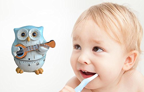 GIFTME 5 Owl Cartoon Kitchen Timer Cooking Timer Cute Timer Reminder(Bluish green) - Thumbnail 3