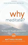 Why Meditate: Working with Thoughts and Emotions by 