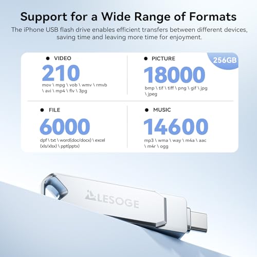 LESOGE MFi Certified 256GB USB C & Lightning Memory Stick - Dual Interface Flash Drive with USB C Adapter, iPhone External Storage, USB 3.0 High-Speed for Photos/Videos (iOS/Android/PC/Mac)