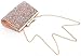 Yuenjoy Womens Rhinestone Clutch Purse Evening Bags with Bow Closure (Champagne)