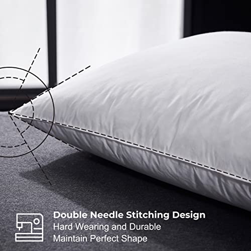 Alanzimo Luxury Hotel Collection Feathers Pillows Queen Size Set of 2