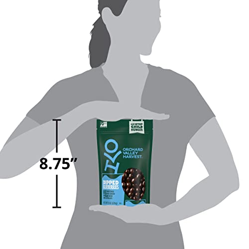 ORCHARD VALLEY HARVEST DARK CHOCOLATE DIPPED BLUEBERRIES, MADE WITH REAL SWEETENED BLUEBERRIES, GLUTEN FREE, NON-GMO, STAND UP BAG, 8 OZ (PACK OF 1), ON-THE-GO SNACK FOR THE WHOLE FAMILY