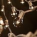 Monkeydg 100FT Globe String Lights G40 with 102 Clear Bulbs Indoor Outdoor Patio,Market,Cafe,Garden,Birthday,Wedding Backyard String Lights-5 Watt/120 Voltage/E12 Base -White Wire