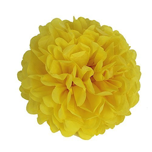 paper-jazz-16pcs-Parrot-Tropical-Birds-Honeycomb-Paper-Pom-Poms-Lanterns-for-Wedding-Birthday-Summer-Beach-Seaside-Hawaiian-Luan-Tiki-Party-Decorations-Yellow-Blue-Green-Color-Parrot-kit