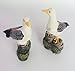 FUNSHOWCASE 2 Dockside Seagulls Standing on Pier Stake Statue Landscape Aquarium Terrariums Miniature Garden Fairy Gardens Doll House Cake Topper Resin Decoration