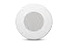 JBL CSS8008 Commercial Series 15-Watt 8" Ceiling Speaker, White primary