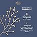 Elixir Premium Lab Collagen & Green Tea Under Eye Patches with Cooling Effect - Reduce Wrinkles, Dark Circles, and Under Eye Bags - 15 Pairs