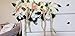 Lightingsky 3 x 1.6 x 3 inches 100pcs DIY Real Touch 3D Artificial Foam Rose Head Without Stem for Wedding Party Home Decoration (100pcs, Milky)