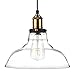 Newhouse Lighting GHPENKIT Rustic Vintage Edison Style 1 Pendant Glass Hanging Light Kit, Clear