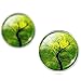 Jiayiqi Gilrs Fashion Soft Winds Bare Branches Studs Earrings