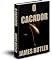 Livro O Cacador (Just Call Me Harry Livro 2)