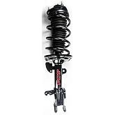 FCS Complete Strut Assembly