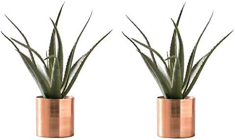 人工観葉植物 アロエベラポット48 ラーケルシリンダー13コッパー 2個セット インテリアグリーン 代引き不可 フェイクグリーンコーディネート 6 A 倉庫