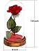 Nalosun Beauty and The Beast Rose Enchanted Red Silk Rose with Fallen Petals in Glass Dome on a Wooden Base Best Gift for Her,Mothers Day Valentine's Day Wedding Anniversary (A:Red Silk Rose)