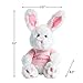 Lillian Vernon Personalized Easter Bunny with Pink T-Shirt Plush Toy - Stuffed Animal, Baby Toys, Holiday & Birthday Party Gifts, Custom Embroidered Name, 12 Inches Tall