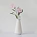 Jomop Modern Vases White Ceramic Home Decor Contemporary