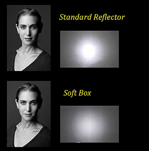 Fomito 55 Degree 7 inchs Standard Reflector Lamp Cover Dish Diffuser for Bowens Mount Studio Strobe Flash Lighting Godox DE300 DE400 SK300 SK400II, Jinbei, Golden Eagle, U2, NiceFoto