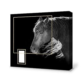 Canvas Wall Art-Black and White Horse-Canvas Prints Home Artwork Decoration for Living Room,Bedroom - 12x12 inches