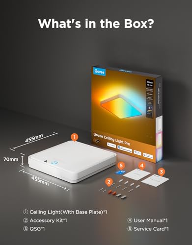 Govee Square Ceiling Light Pro