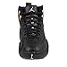 Nike Jordan Men's Air Jordan 12 Retro Basketball Shoe