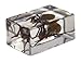 Celestron – Real 3D Bugs in Clear Resin – 4pc Set Includes Hornet, Black Camellia, Rose Chafer, and Spider – Perfect for Science Eduction and Classroom – Use with Digital and Stereo Microscopes