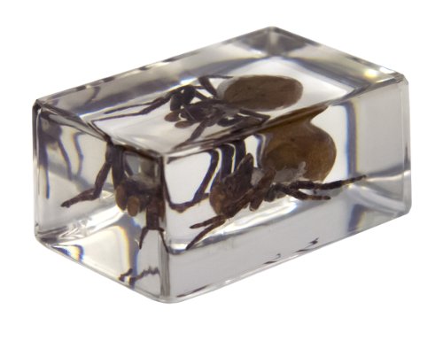 6 Celestron+44408+Specimen+Green+Yellow