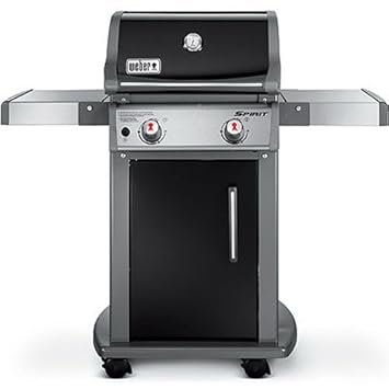 barbecue spirit weber