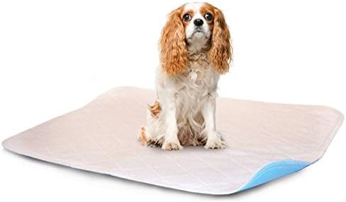 LennyPads Ultra Absorbent, Leak Proof, Washable Pee Pads - 1 Pack (91 cm x 91 cm) XXL