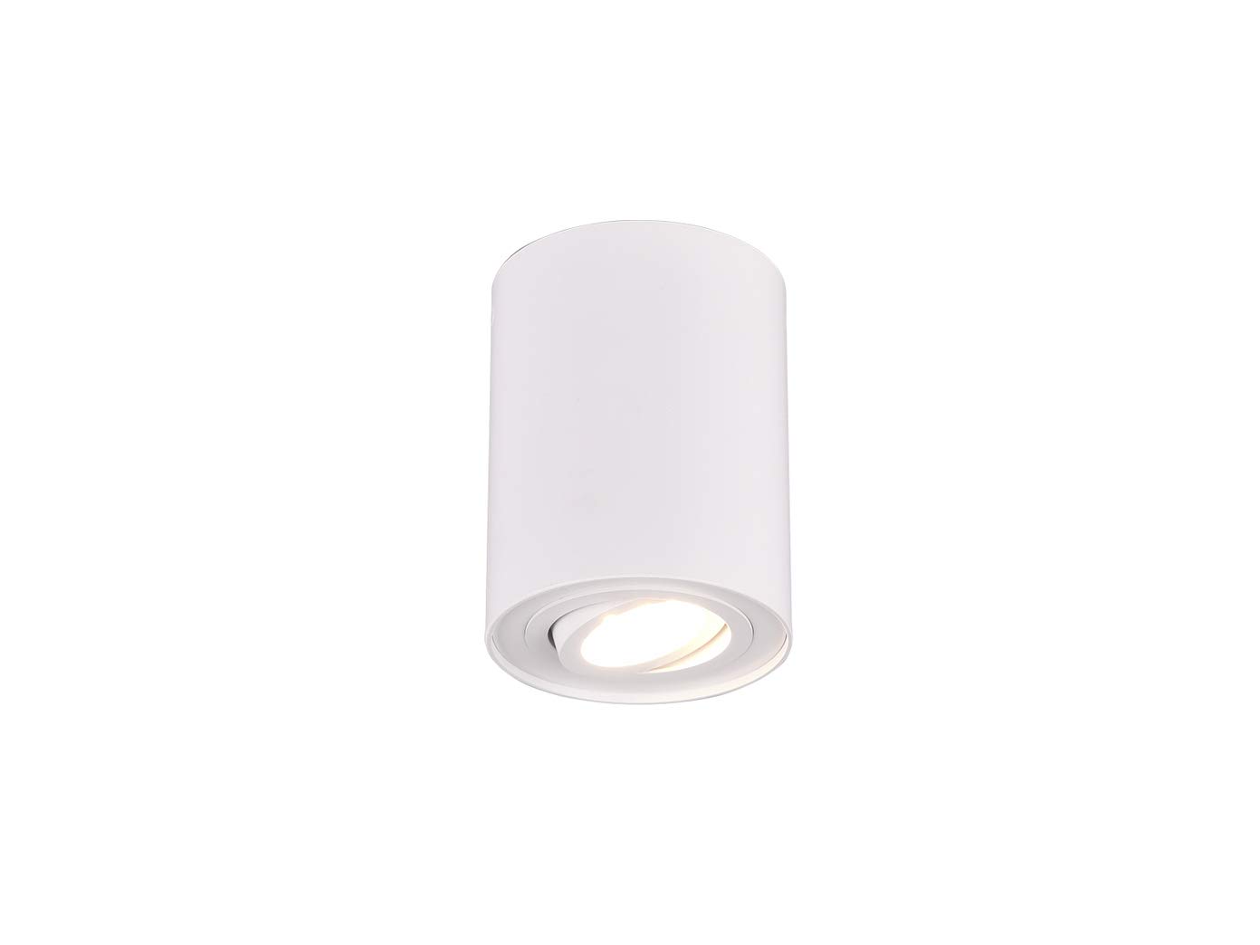 Trio Leuchten Cookie 612900131 Ceiling Light Matte Metal White 1x GU10