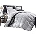 Luxurious 1200 Thread Count Goose Down Comforter Duvet Insert, King Size, 1200TC - 100% Egyptian Cotton Cover, 750+ Fill Power, 50 oz Fill Weight, White Color