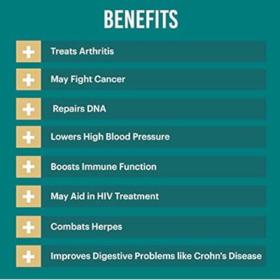 Buy Cat S Claw Tincture Certified Kosher Cat S Claw Extract Cat S Claw Drops Uncaria Tomentosa Dried Bark Herbal Supplement Non Gmo In Cold Pressed Organic Vegetable Glycerin 700 Mg 2 Oz 60 Ml Online In