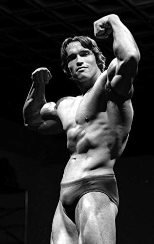 Get Arnold schwarzenegger gewicht For Free
