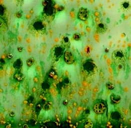 Sax True Flow Crystal Magic Glaze - 1 Pint - Herb Garden