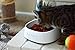 Pet Food Bowl with Built-In Smart Digital Food Scale – Avoid Obesity – Perfect Your Pet's Portion Sizes Using FluffyPal's Feeder