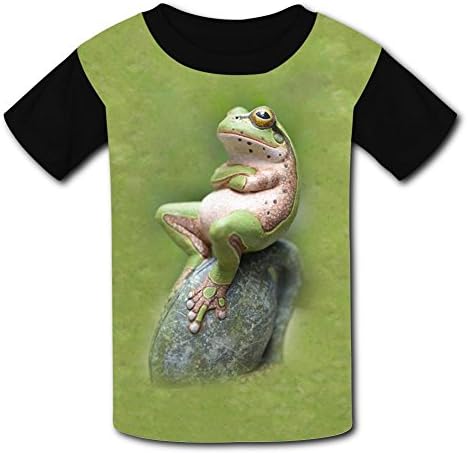 Round Collar 100% Polyester Fiber Cute Short Sleeve Top T-Shirt For Unisex Kids,Print A Frog Sitting With Hands