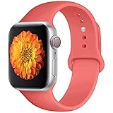 Misker Sport Band Compatible with Watch 42mm 38mm 40mm 44mm,Soft Silicone Strap Replacement Wristbands Compatible with Sport Series 4/3/2/1(42L Coral)