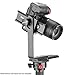 Neewer Professional Panoramic Gimbal Camera Tripod Ball Head,Include 360 Degree Swivel Panoramic Indexing Rotator,2 Way Rail Slider,L Bracket for Tripod,DSLR Cameras,Load Up to 6.6 pounds/3 kilograms