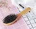Boar Bristle Hair Brush for Men/Women/Kids - Mini German Natural Beech Wood Professional Detangler Hairbrush for Pocket/Purse/Travel, Giftbox Included