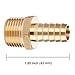 U.S. Solid Brass Hose Fitting, Adapter, 1/2