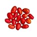 MiralandBerry Miracle Fruit, Miracle Berry (10 Whole Berries), Freeze Dried, Not Tablet