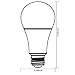 2-PACK 11W Dimmable LED A19 Bulb, 75W Incandescent Equivalent ENERGY STAR UL-listed Omnidirectional A19 Light Bulb, E26 Base 1100lm Coo White 5000K Daylight, 300 Degree Beam Angle for General Lighting