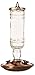 Perky-Pet 8107-2 Antique Bottle 10-Ounce Glass Hummingbird Feeder, Clear primary