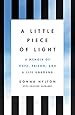 A Little Piece of Light: A Memoir of Hope, Prison, and a Life Unbound